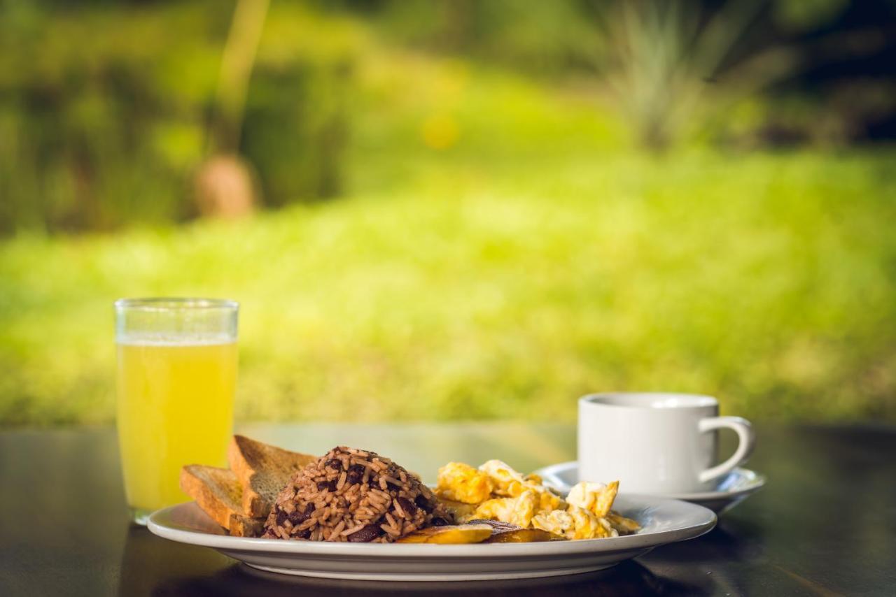 Yellow Tree Suites La Fortuna Екстер'єр фото